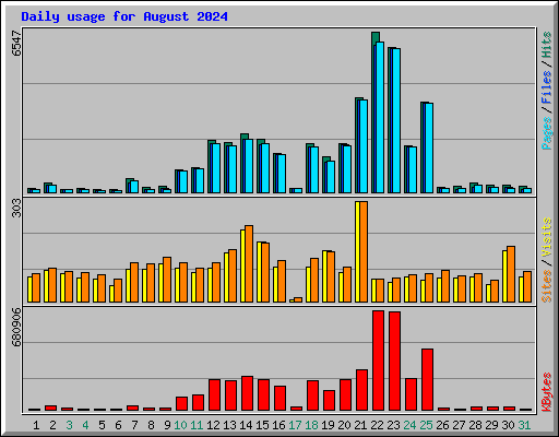 Daily usage for August 2024