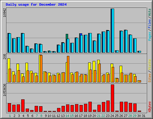 Daily usage for December 2024