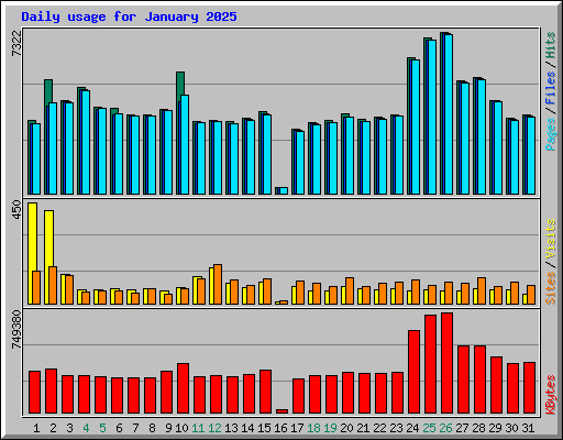 Daily usage for January 2025