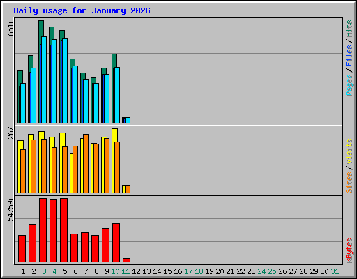 Daily usage for January 2026