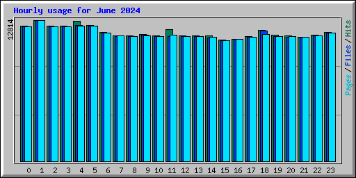 Hourly usage for June 2024