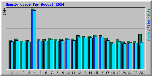 Hourly usage for August 2024