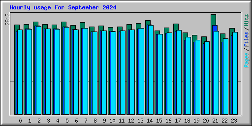 Hourly usage for September 2024