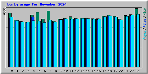 Hourly usage for November 2024