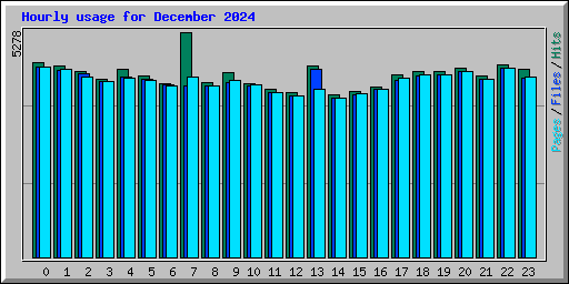 Hourly usage for December 2024