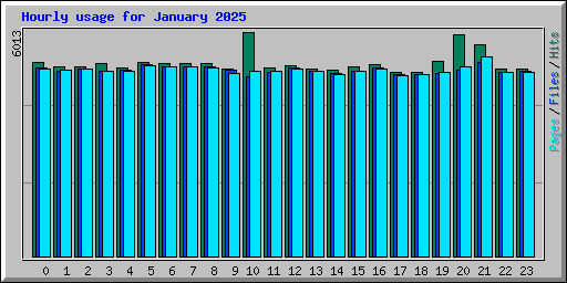 Hourly usage for January 2025