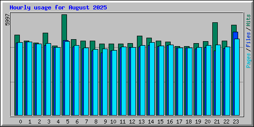 Hourly usage for August 2025