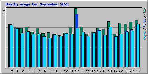 Hourly usage for September 2025