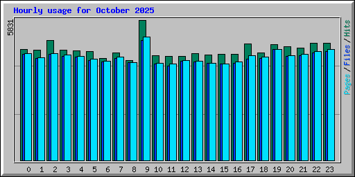Hourly usage for October 2025