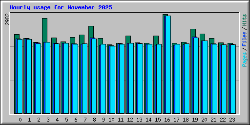 Hourly usage for November 2025