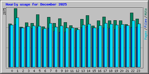 Hourly usage for December 2025