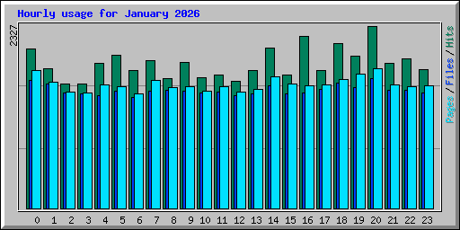 Hourly usage for January 2026